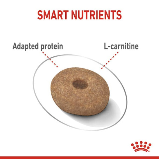 Royal Canin Mini Light Weight Care Adult – Hrană Uscată pentru Câini Adulți de Talie Mică, cu Tendință de Îngrășare – 8 kg